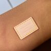 Louis Vuitton Dauphine Soft GM
