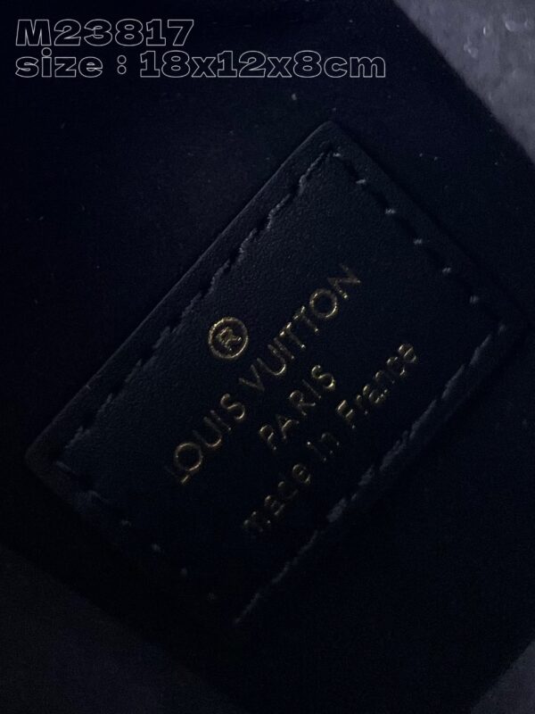 Louis Vuitton Side Trunk PM