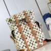 Louis Vuitton Christopher MM