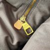 Louis Vuitton Christopher MM