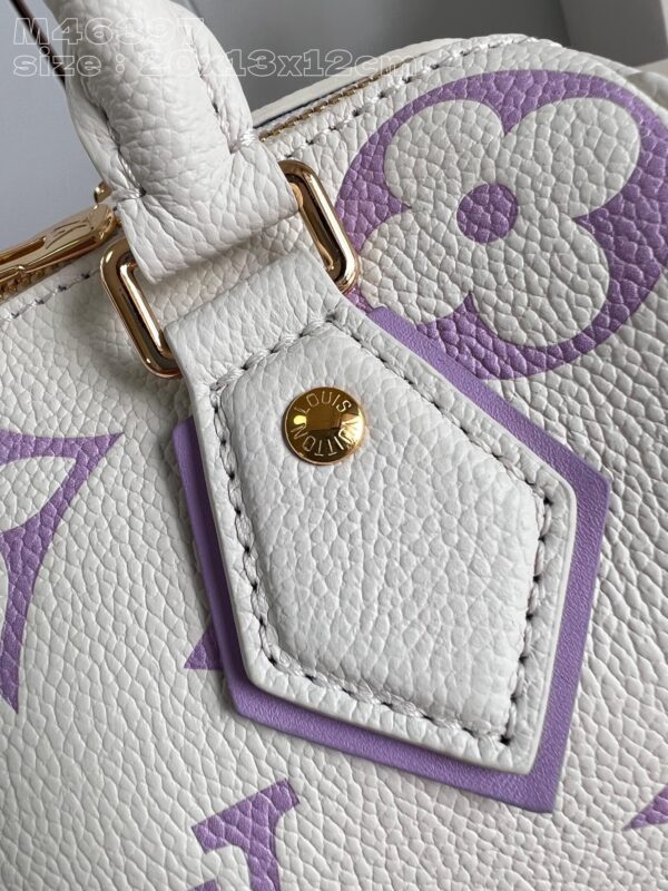 Louis Vuitton Speedy Bandoulière 20