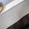 Louis Vuitton Dauphine Soft MM