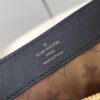 Louis Vuitton Dauphine Soft MM