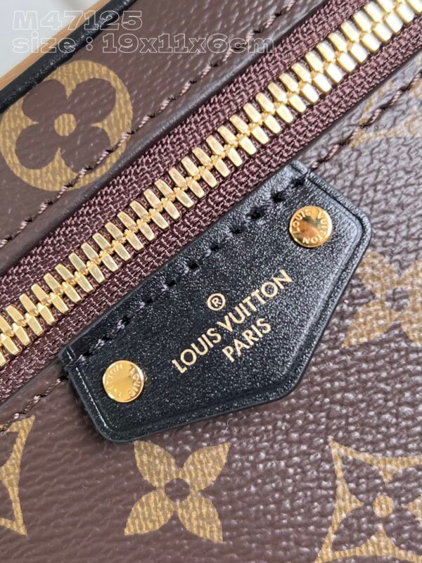 Louis Vuitton Vanity Chain Pouch