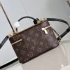 Louis Vuitton Vanity Chain Pouch