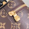 Louis Vuitton Vanity Chain Pouch