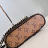 Louis Vuitton Vanity Chain Pouch