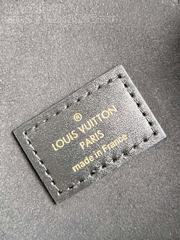 Louis Vuitton Vanity Chain Pouch