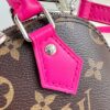 Louis Vuitton Nano Alma