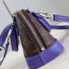 Louis Vuitton Nano Alma