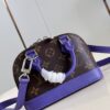 Louis Vuitton Nano Alma