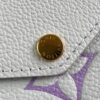 Louis Vuitton Pochette Félicie