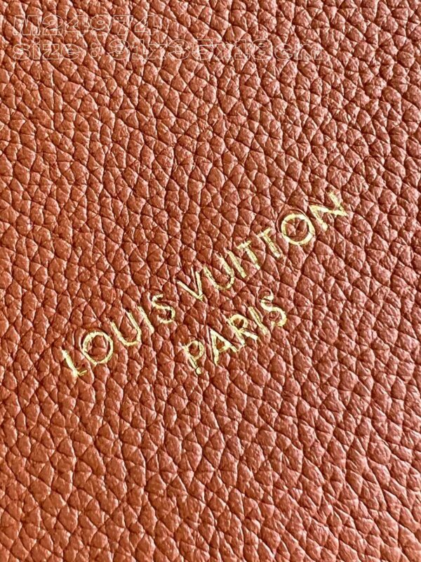 Louis Vuitton Low Key Hobo MM