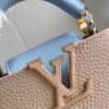 Louis Vuitton Capucines Mini