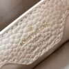 Louis Vuitton Capucines Mini
