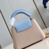 Louis Vuitton Capucines Mini