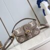 Louis Vuitton Nano Diane