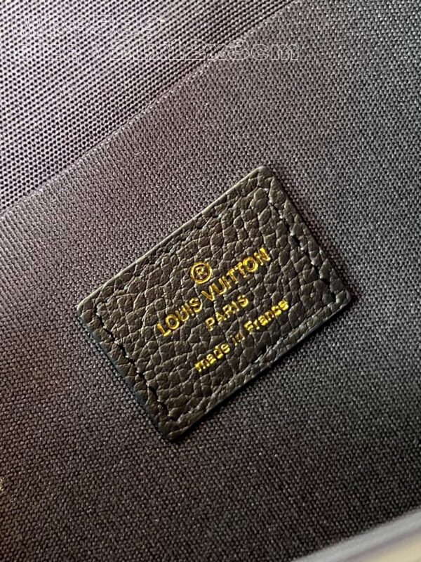 Louis Vuitton Félicie Pochette