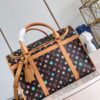 Louis Vuitton Dog  Bag