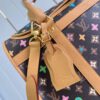 Louis Vuitton Dog  Bag