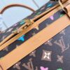 Louis Vuitton Dog  Bag