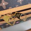 Louis Vuitton Dog  Bag