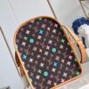 Louis Vuitton Dog  Bag