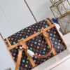 Louis Vuitton Dog  Bag