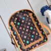 Louis Vuitton Dog  Bag