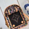 Louis Vuitton Dog  Bag