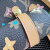 Louis Vuitton Dog  Bag