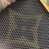 Louis Vuitton Dog  Bag