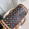 Louis Vuitton Dog  Bag