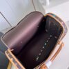 Louis Vuitton Dog  Bag