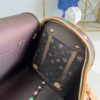 Louis Vuitton Dog  Bag