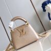 Louis Vuitton Capucines Nano
