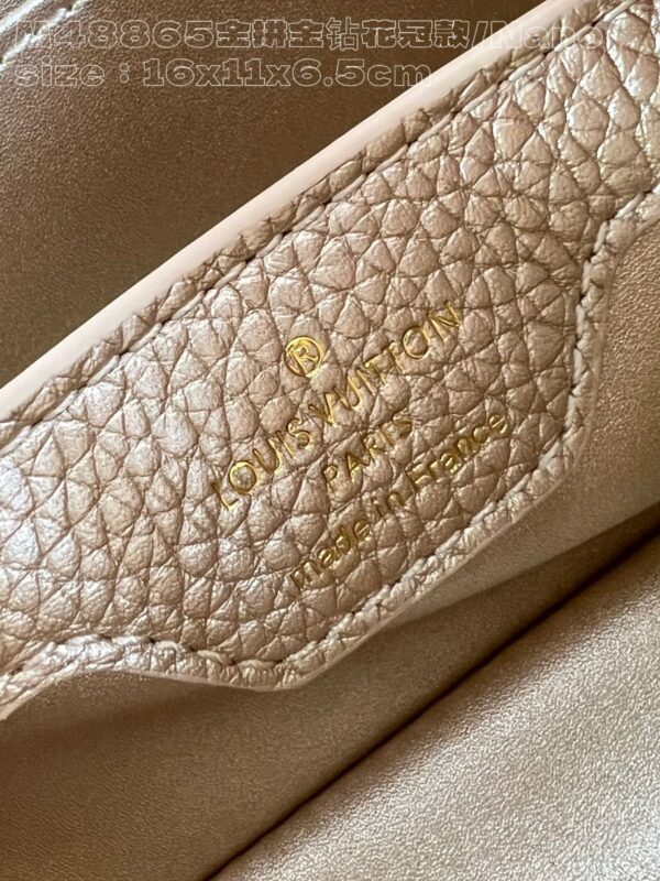 Louis Vuitton Capucines Nano
