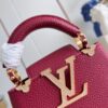 Louis Vuitton Capucines Nano