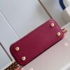 Louis Vuitton Capucines Nano