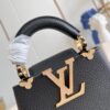 Louis Vuitton Capucines Nano