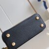 Louis Vuitton Capucines Nano