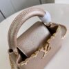 Louis Vuitton Capucines Mini