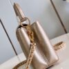 Louis Vuitton Capucines Mini