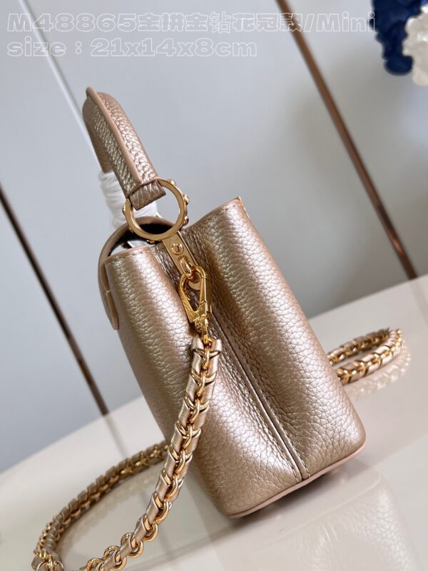 Louis Vuitton Capucines Mini