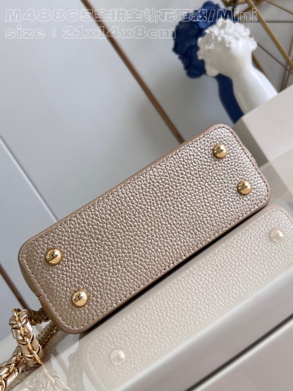 Louis Vuitton Capucines Mini