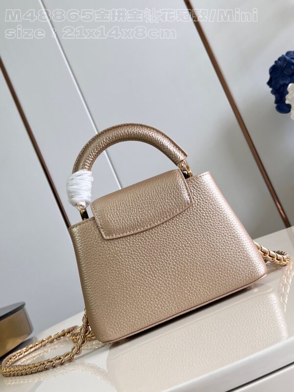 Louis Vuitton Capucines Mini