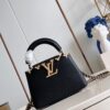 Louis Vuitton Capucines Mini