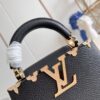 Louis Vuitton Capucines Mini