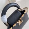 Louis Vuitton Capucines Mini