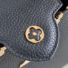 Louis Vuitton Capucines Mini